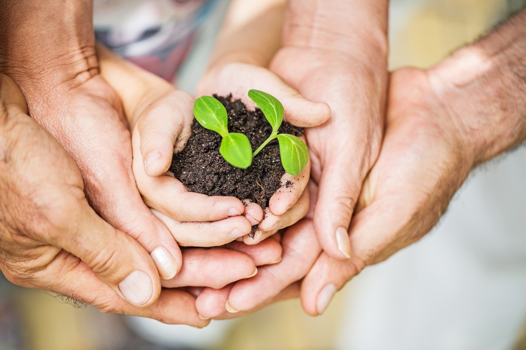 Earth, day, plant.